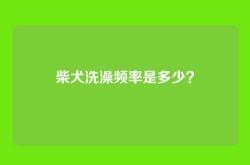 柴犬洗澡频率是多少？