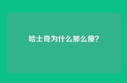 哈士奇为什么那么傻？