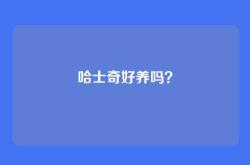 哈士奇好养吗？