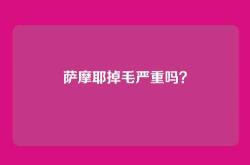 萨摩耶掉毛严重吗？