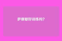 萨摩耶好训练吗？