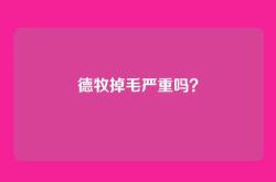 德牧掉毛严重吗？
