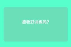 德牧好训练吗？
