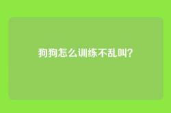 狗狗怎么训练不乱叫？