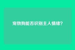 宠物狗能否识别主人情绪？