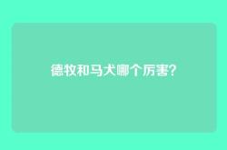 德牧和马犬哪个厉害？
