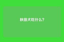 秋田犬吃什么？