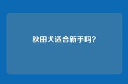 秋田犬适合新手吗？