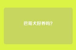 巴哥犬好养吗？