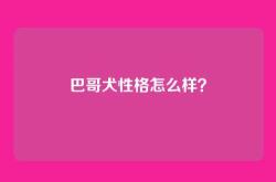 巴哥犬性格怎么样？