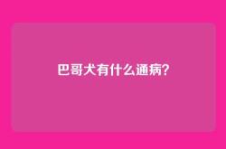 巴哥犬有什么通病？