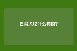 巴哥犬吃什么狗粮？