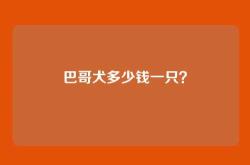 巴哥犬多少钱一只？