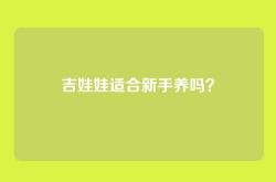 吉娃娃适合新手养吗？