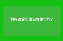狗狗适合长途自驾旅行吗？