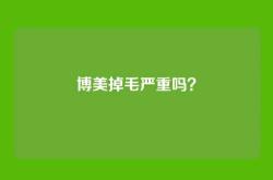 博美掉毛严重吗？