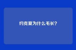 约克夏为什么毛长？