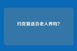 约克夏适合老人养吗？