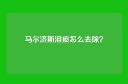 马尔济斯泪痕怎么去除？