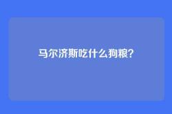 马尔济斯吃什么狗粮？
