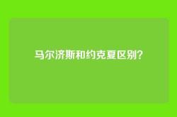 马尔济斯和约克夏区别？
