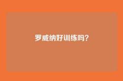 罗威纳好训练吗？