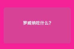 罗威纳吃什么？
