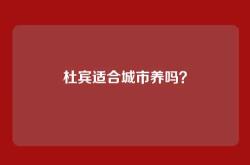 杜宾适合城市养吗？