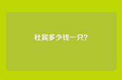 杜宾多少钱一只？