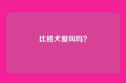 比格犬爱叫吗？