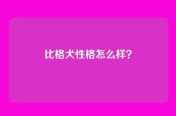 比格犬性格怎么样？