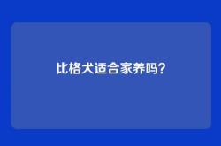 比格犬适合家养吗？