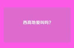 西高地爱叫吗？