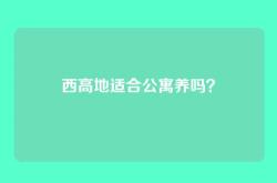西高地适合公寓养吗？