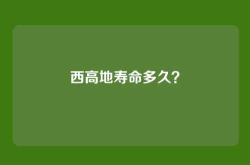 西高地寿命多久？