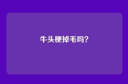 牛头梗掉毛吗？