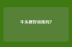 牛头梗好训练吗？