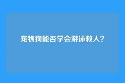 宠物狗能否学会游泳救人？