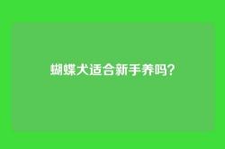蝴蝶犬适合新手养吗？