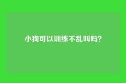 小狗可以训练不乱叫吗？