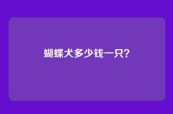 蝴蝶犬多少钱一只？