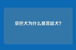 京巴犬为什么是宫廷犬？