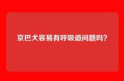 京巴犬容易有呼吸道问题吗？