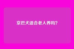 京巴犬适合老人养吗？