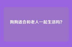 狗狗适合和老人一起生活吗？