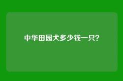 中华田园犬多少钱一只？