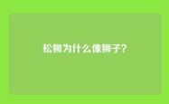 松狮为什么像狮子？