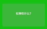 松狮吃什么？