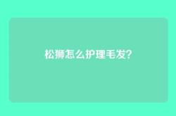 松狮怎么护理毛发？