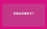灵缇运动量多大？